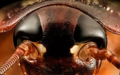 12835687255_9884c5c758_k.webp
