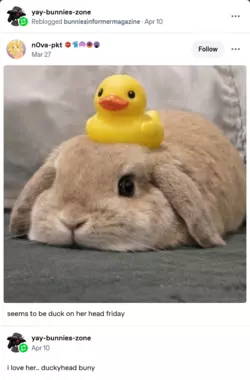 1777657833727.png