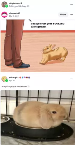1777658657698.png