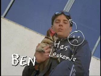 1000138944.webp