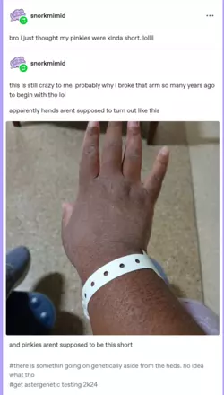 1777688053755.png