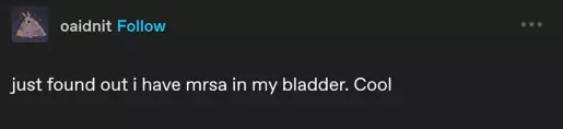 1777693988578.png