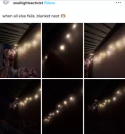 1777755624496.png