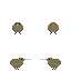 kiwi ref.png