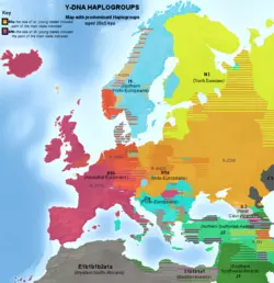 yGenetic-map-Europe-2494858883.png