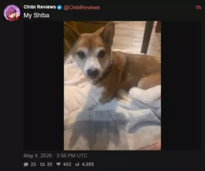 1777916485276.png