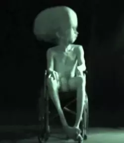 1778003108270.png