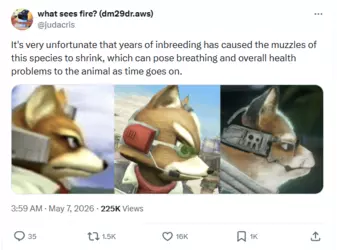 Screenshot_3137.png