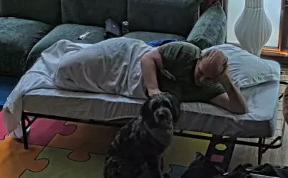 dog.png