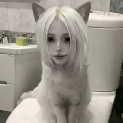 50428.jpg