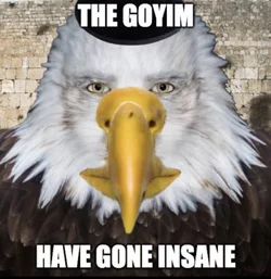 1778270918048.jpeg
