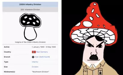mushroom division.png