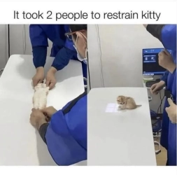 743653534.png