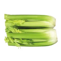 1778383496505.png