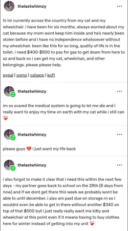 1778464033801.png