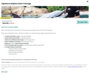 Dolphins.png