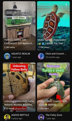 Screenshot_20260513-000634~2.jpg
