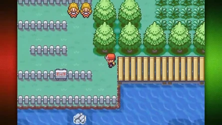 route13.jpg