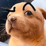 1778727388996.png