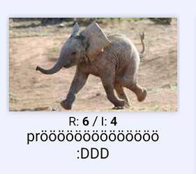 prooooooooooooo.jpg