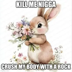 1778801135107.png