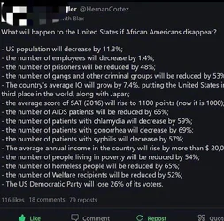If Blacks Disappeared.jpg