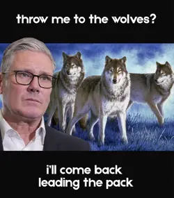 1778847502856.png