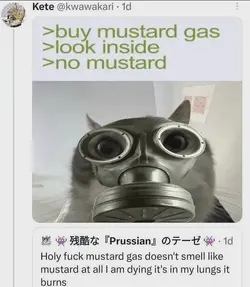 1778851248456.png