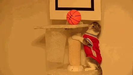 tumblr_n145vrzeiz1qljj91o1_500.gif