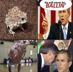 ballin.png