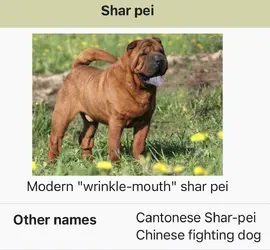 1778875048106.png