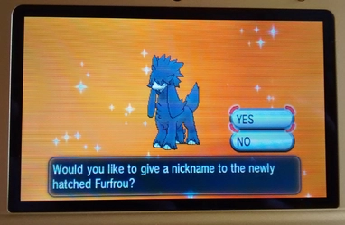 shiny1.jpg