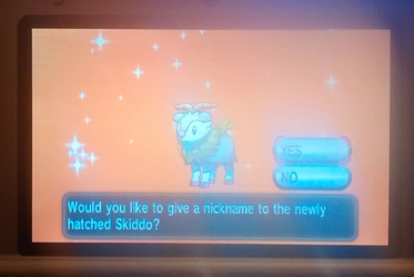 shiny2.jpg