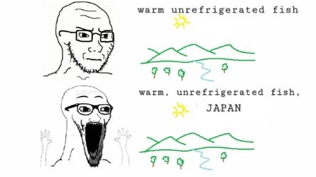 what-do-japanese-people-think-about-the-place-place-japan-v0-x6kpeq7owdsg1.jpeg