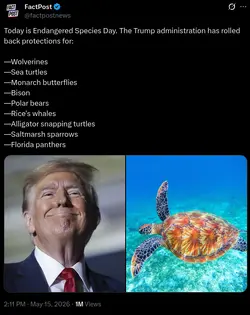 1779064351458.png