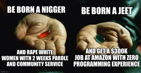 redpillbluepill.jpg