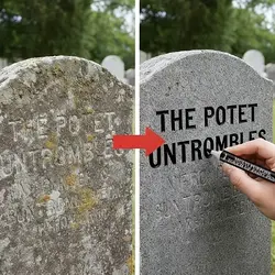 1779094252804.png