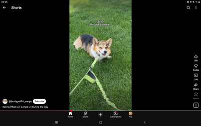Screenshot_20260516-035550_YouTube.jpg