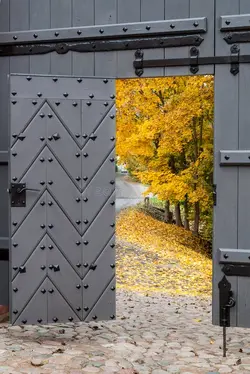 freedom-world-outside-view-half-opened-door-picturesque-scenery-concept-image-life-walls-34679...jpg