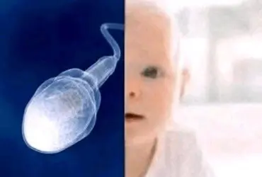 1779220034686.png