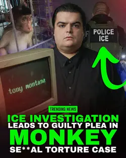images.jpeg