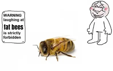 image (16).png