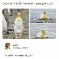 welcome_to_the_wholesome-44.jpg