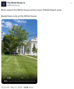 1779295739311.png