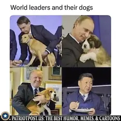 1779405873389.png