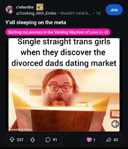 1000177590.jpg