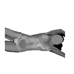 value study 8.png