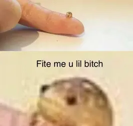 e42senhzvi181.png