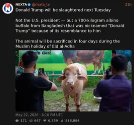 1779550957963.png