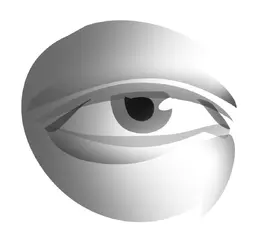 1779580952869.png